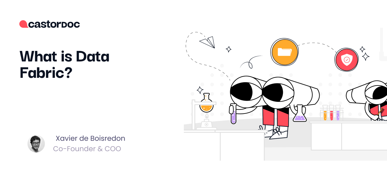 What is Data Fabric? CastorDoc Blog